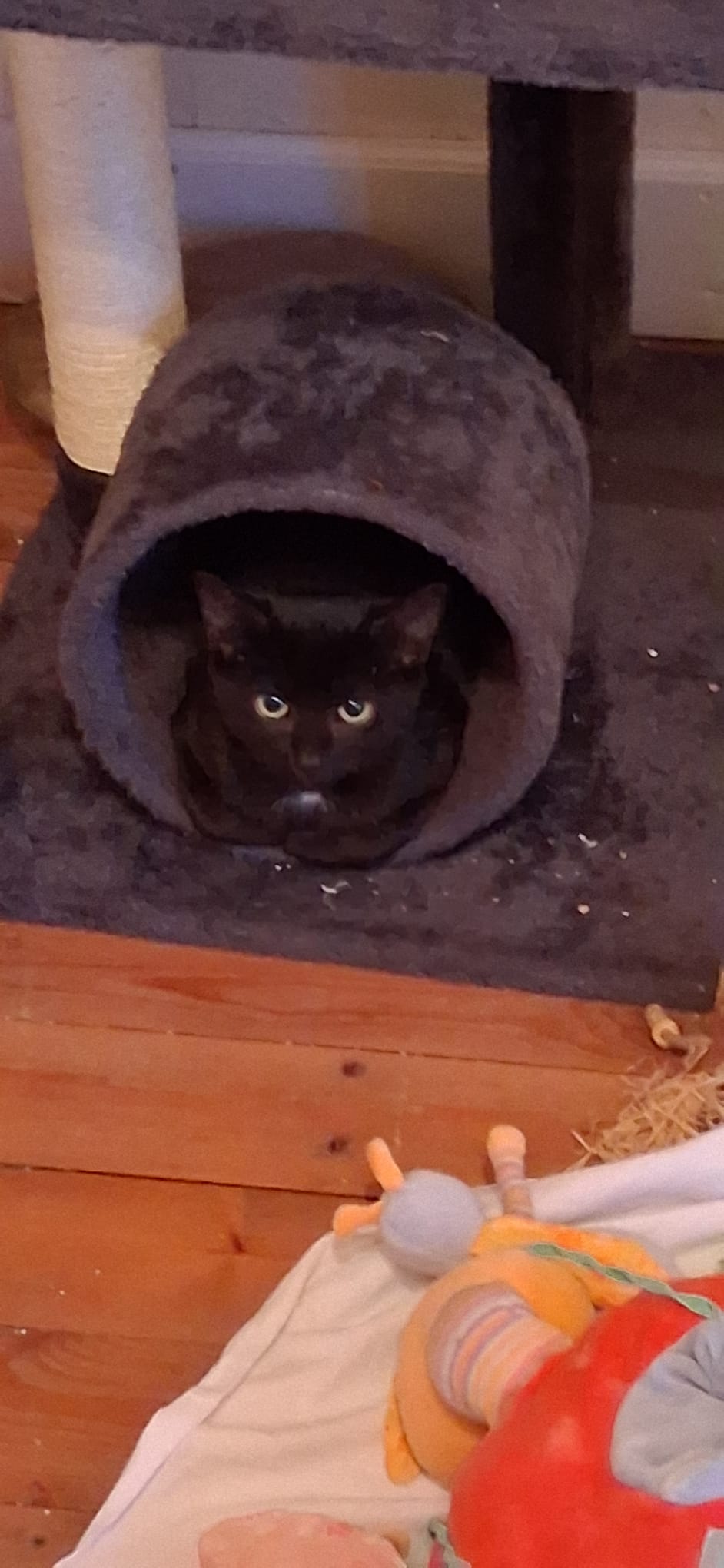 Onyx